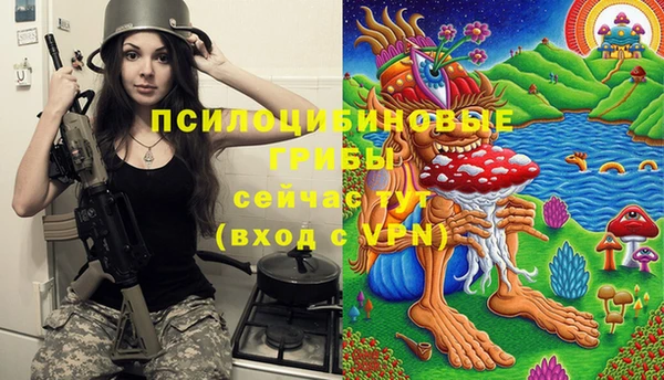 бошки Абдулино