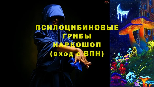 PSILOCYBIN Алзамай