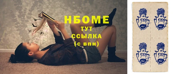 PSILOCYBIN Алзамай